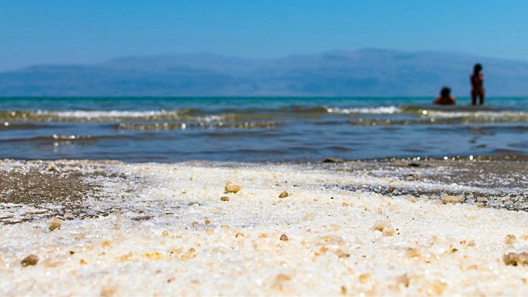Sommer, Sonne und Säure-Basen-Haushalt: Die versteckten Kräfte des Meeres